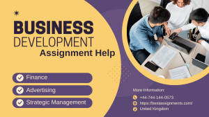 Business Development Assignment Help 